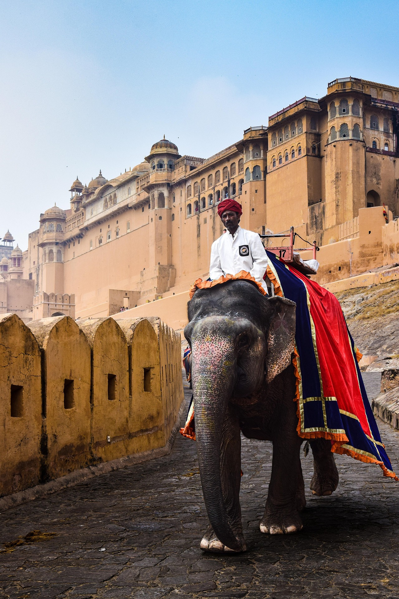 Elephant Ride in Jaipur